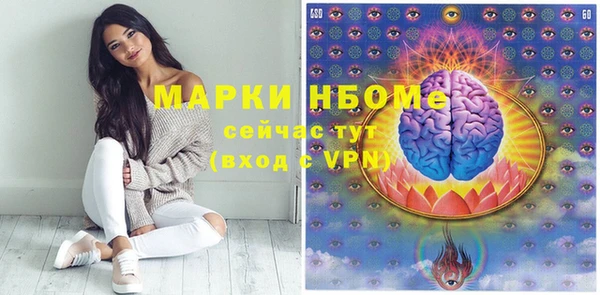 стаф Алзамай