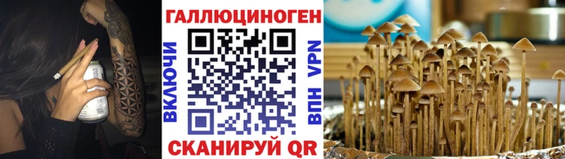 Псилоцибиновые грибы MAGIC MUSHROOMS  Сосновый Бор 
